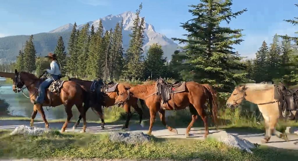 riding horses in Canada